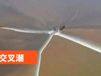 苏州青少年三六六社会实践探索钱塘江大潮自然奥秘研学旅行活动图2